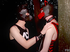 Cologne Cruising – Mecs Amateurs