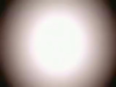 Cute Young Boy Rabid Is Devirginized By A Fat Cock – Live Cam Amateur