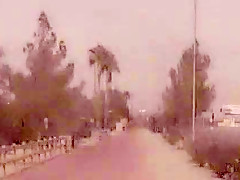 Fat Dick 3