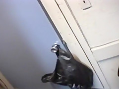 Hung Black Studs Get Fuck On In Bedroom