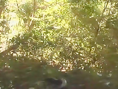 Uncut Guys Fucking in the Forest